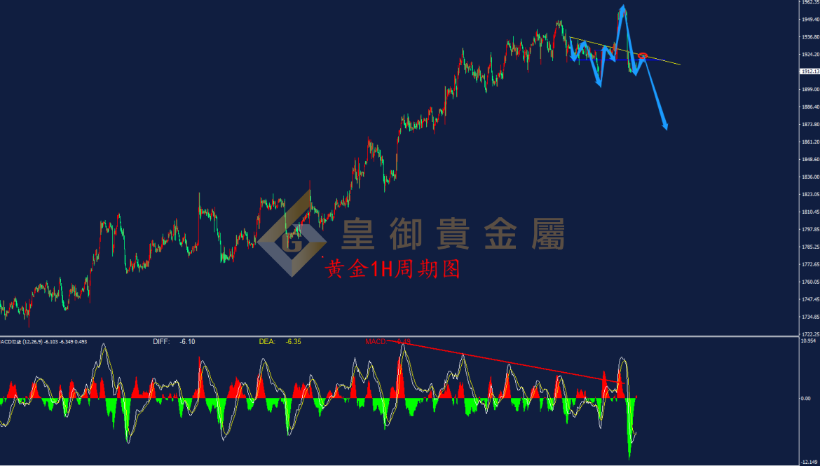 皇御黄金走势图 皇御黄金走势图