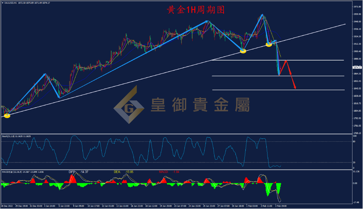 皇御黄金走势图 皇御黄金走势图