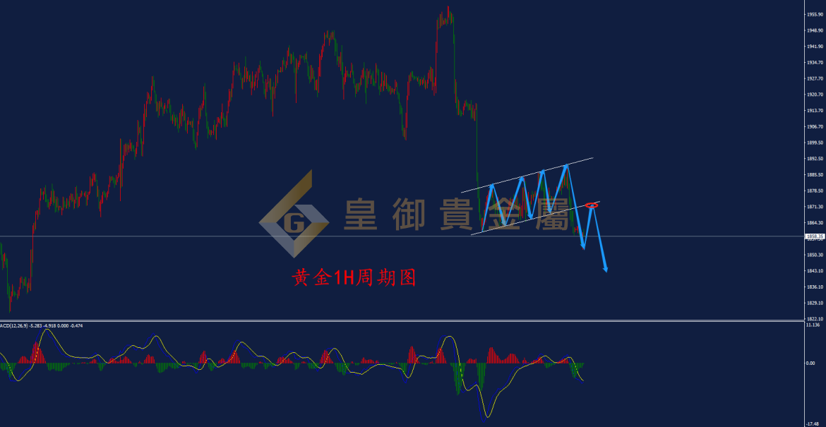 皇御黄金走势图 皇御黄金走势图