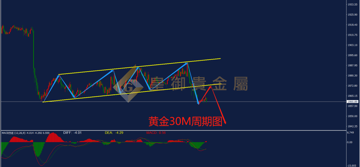皇御黄金走势图 皇御黄金走势图