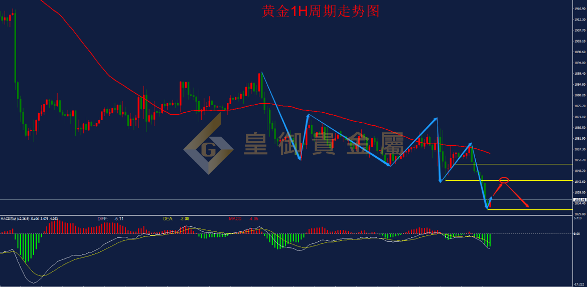 皇御黄金走势图 皇御黄金走势图