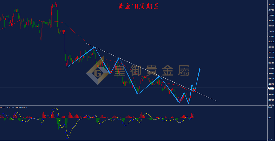 皇御黄金走势图 皇御黄金走势图