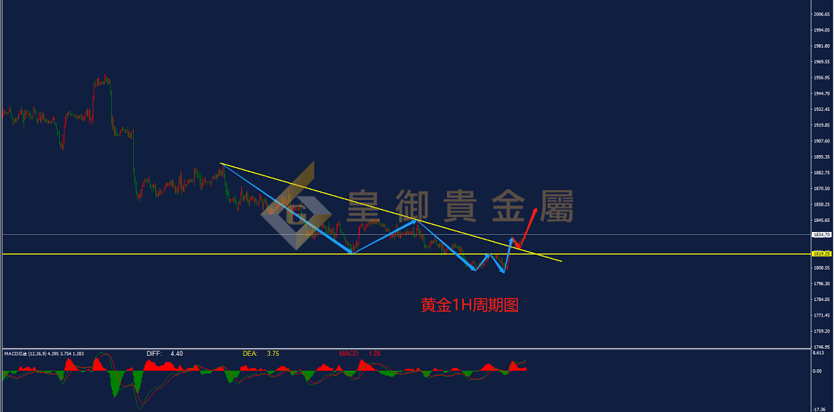 皇御黄金走势图 皇御黄金走势图