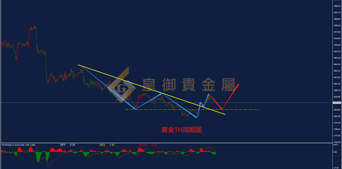 皇御黄金走势图 皇御黄金走势图