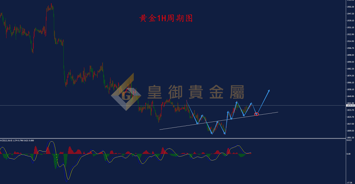 皇御黄金走势图 皇御黄金走势图
