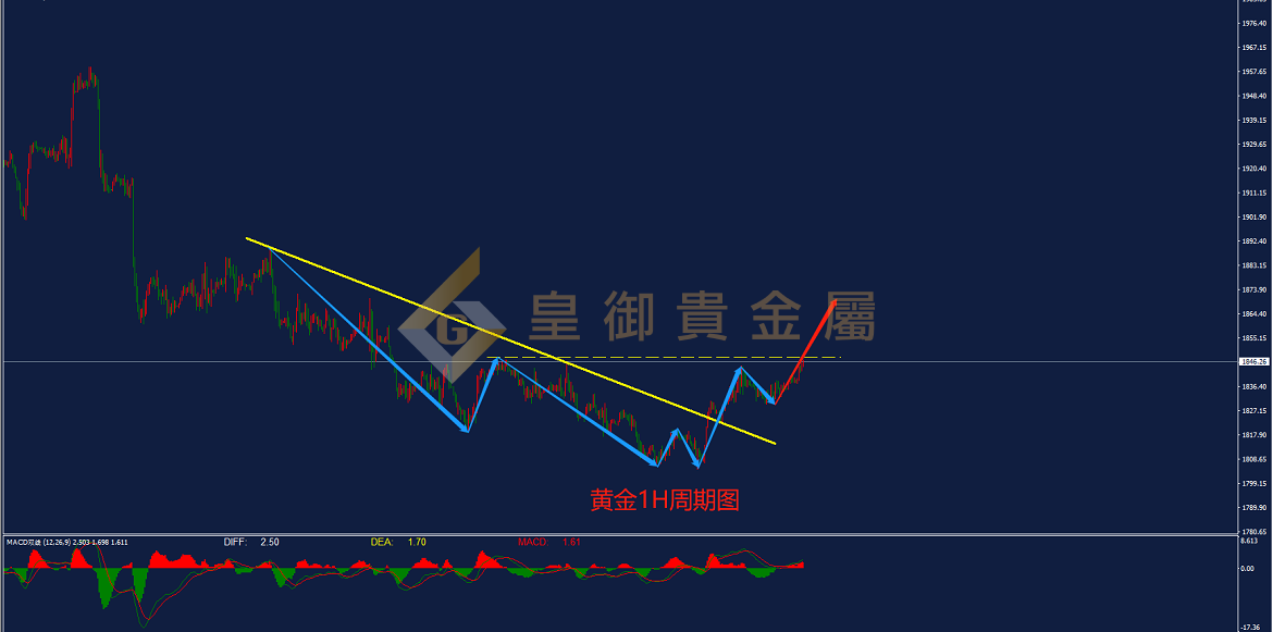 皇御黄金走势图 皇御黄金走势图