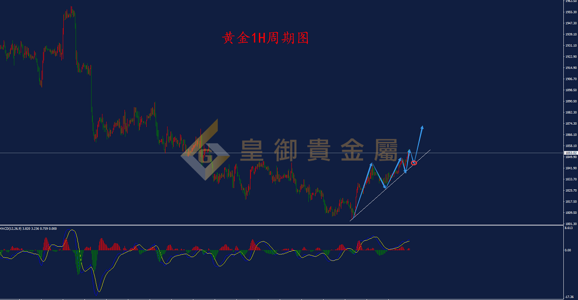 皇御黄金走势图 皇御黄金走势图