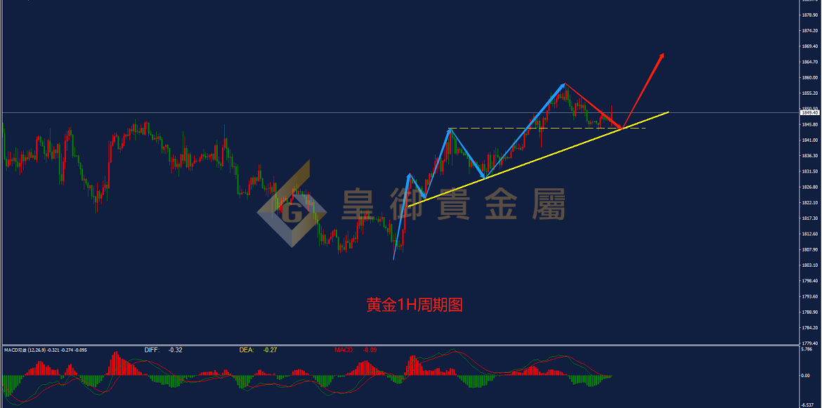 皇御黄金走势图 皇御黄金走势图