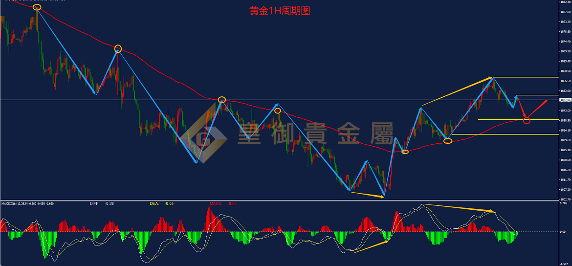 皇御黄金走势图 皇御黄金走势图