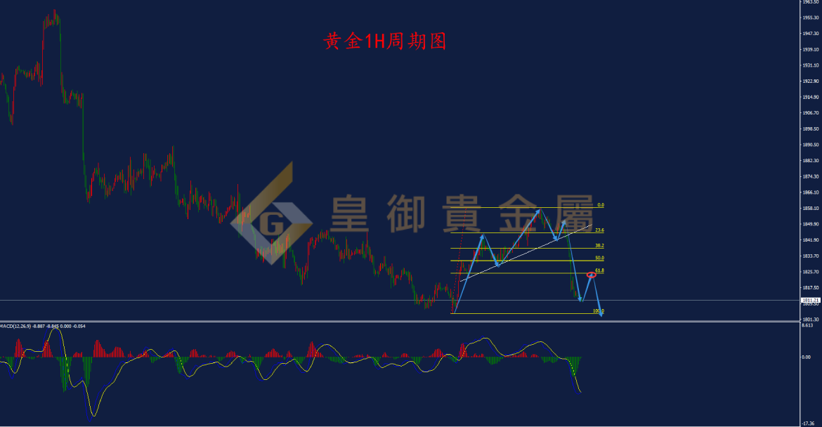 皇御黄金走势图 皇御黄金走势图