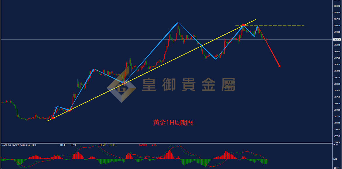 皇御黄金走势图 皇御黄金走势图