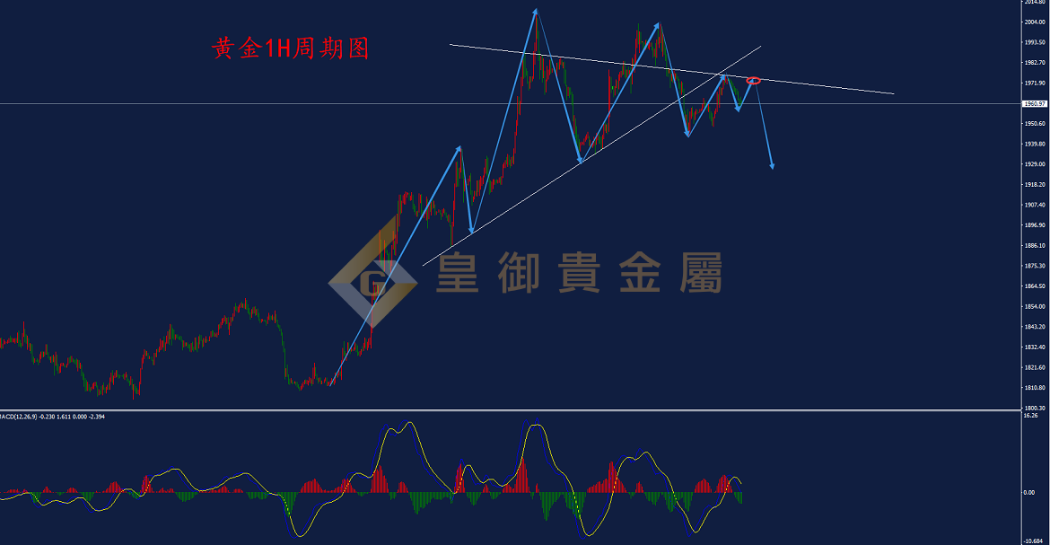 皇御黄金走势图 皇御黄金走势图