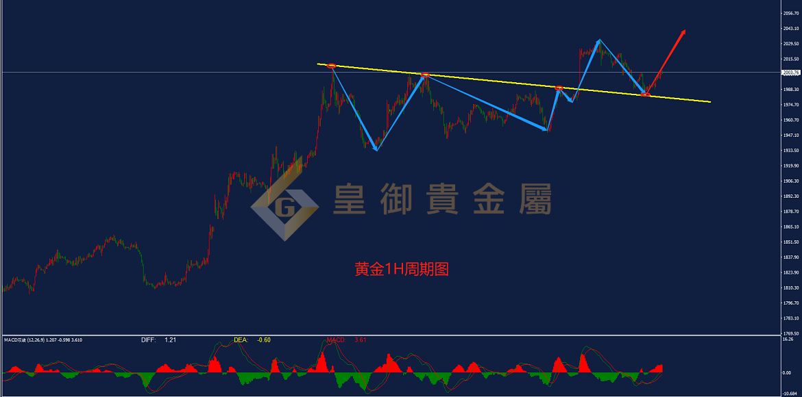 皇御黄金走势图 皇御黄金走势图