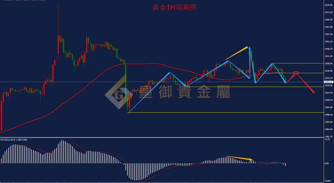 皇御黄金走势图 皇御黄金走势图