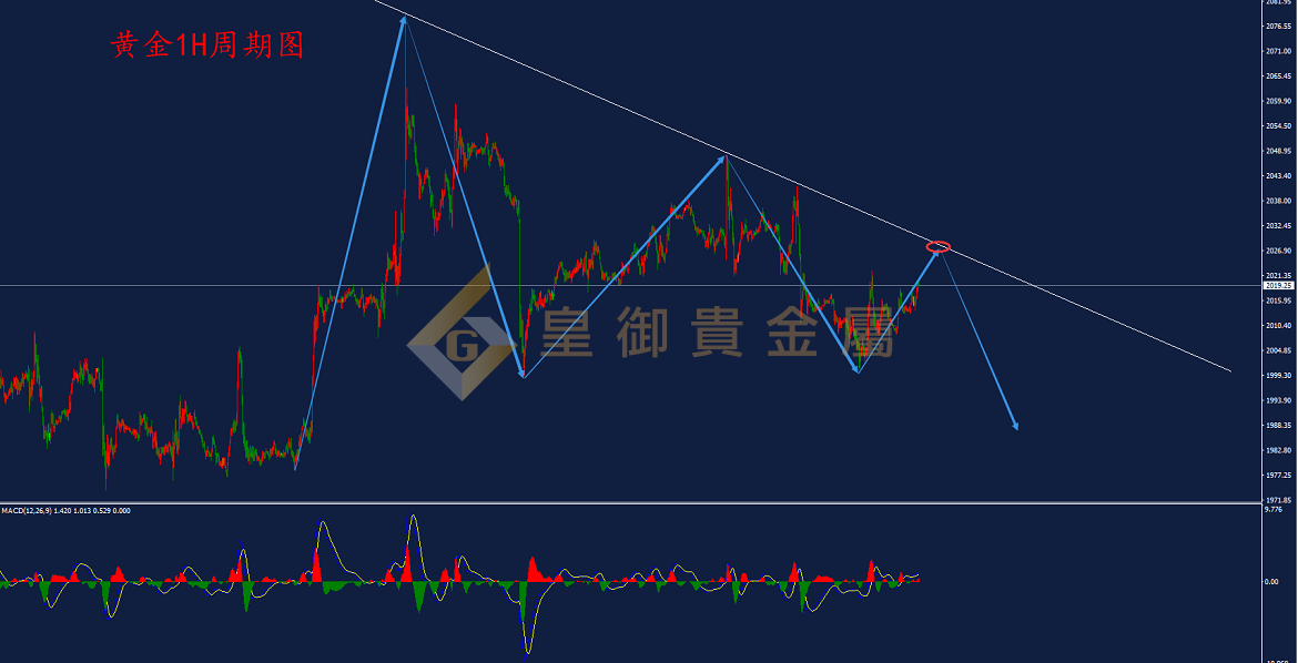 皇御黄金走势图 皇御黄金走势图