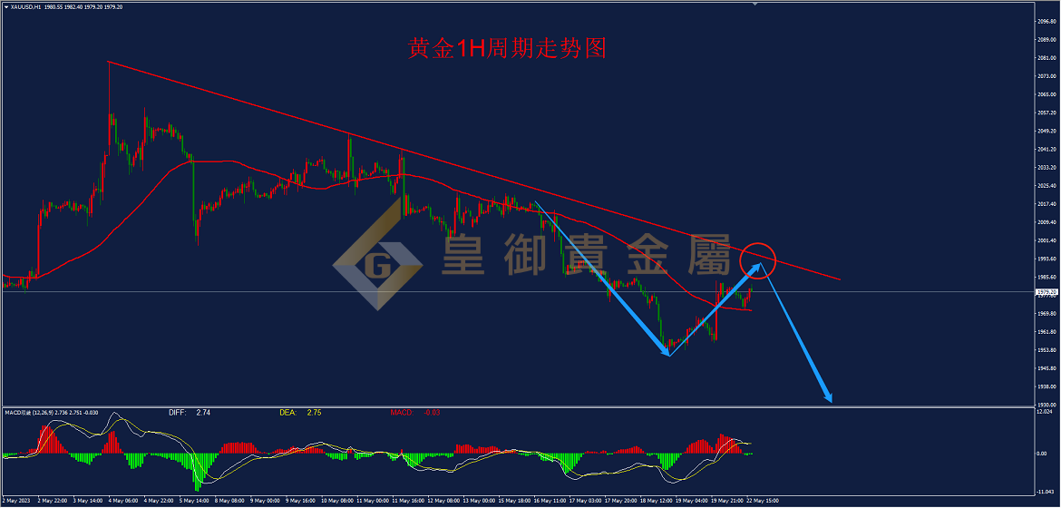 皇御黄金走势图 皇御黄金走势图