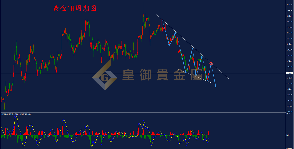 皇御黄金走势图