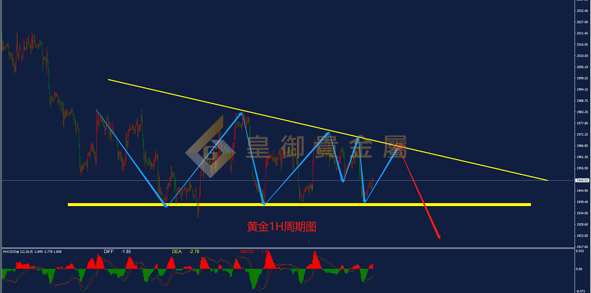 皇御黄金走势图 皇御黄金走势图