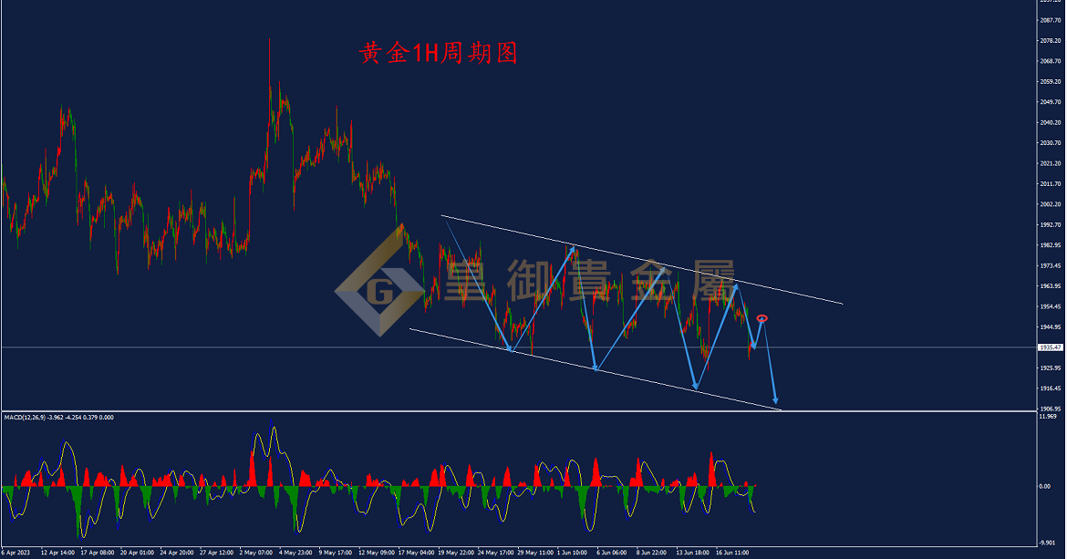 皇御黄金走势图