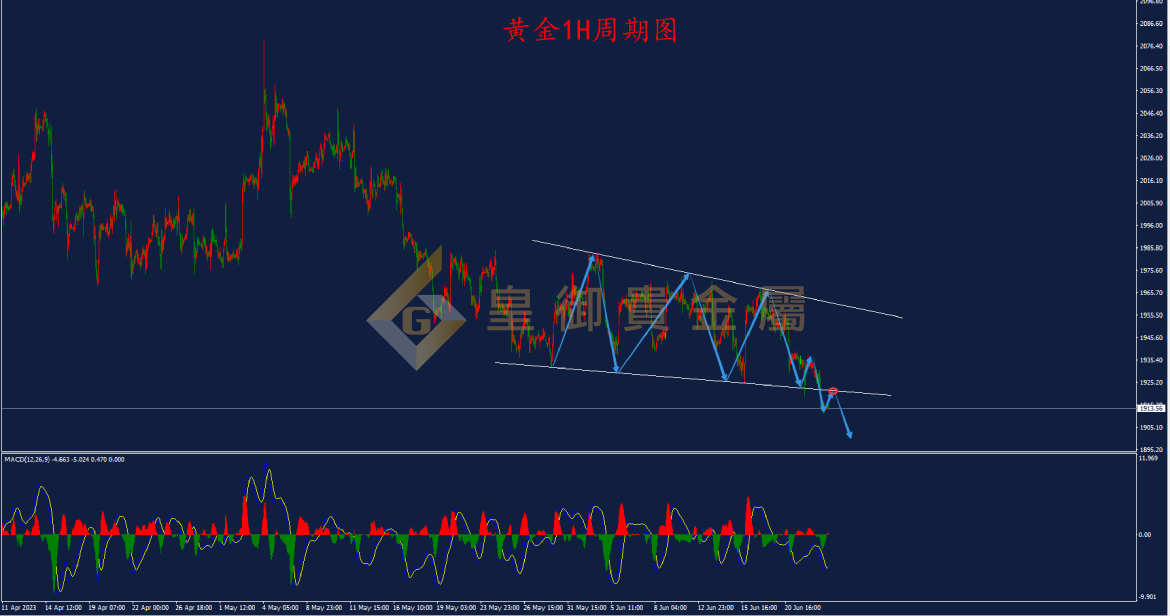 皇御黄金走势图 皇御黄金走势图