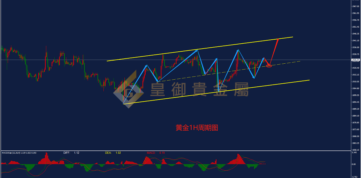 皇御黄金走势图 皇御黄金走势图