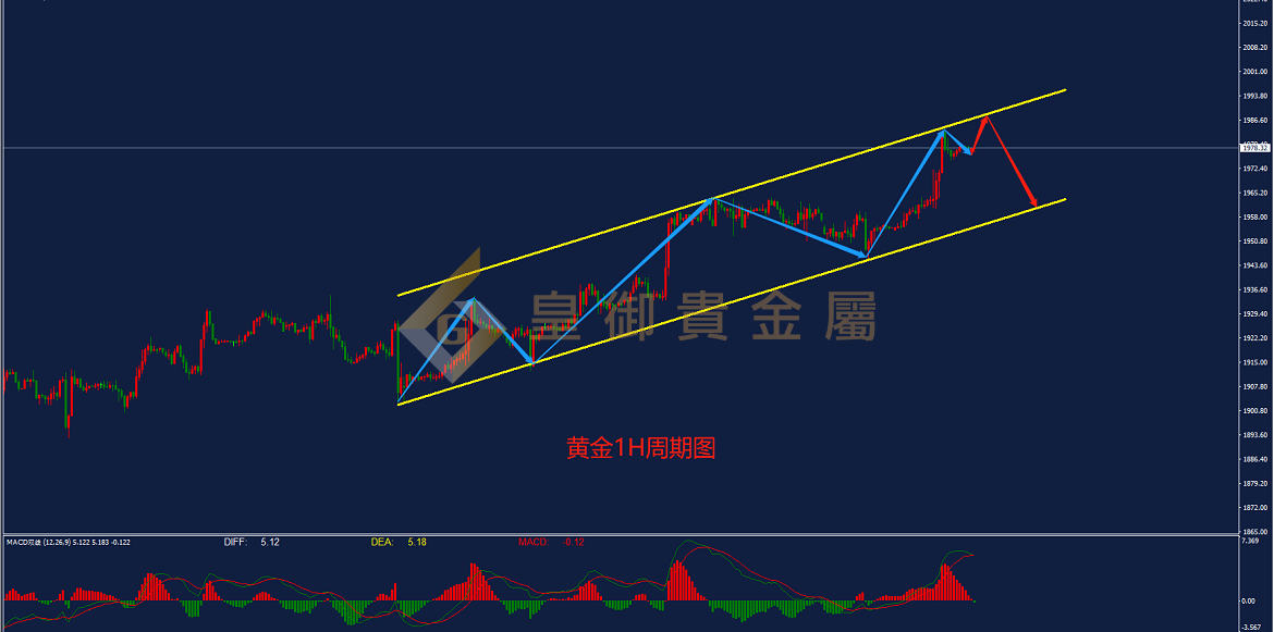 皇御黄金走势图 皇御黄金走势图