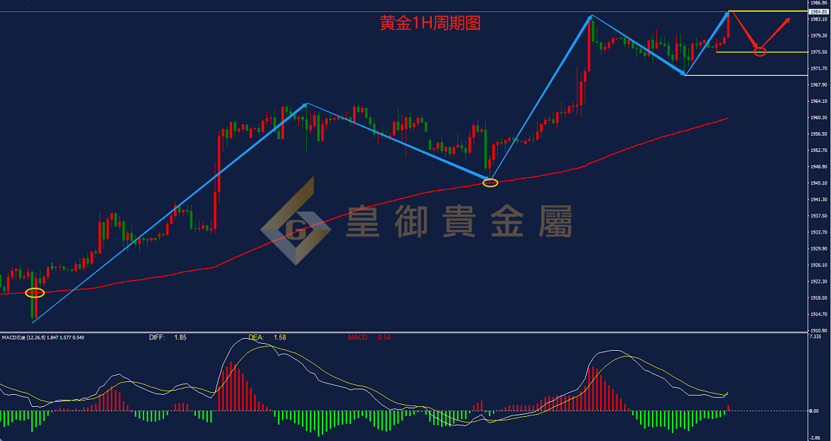 皇御黄金走势图 皇御黄金走势图