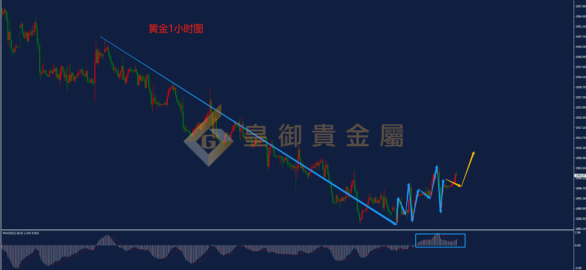 皇御黄金走势图 皇御黄金走势图