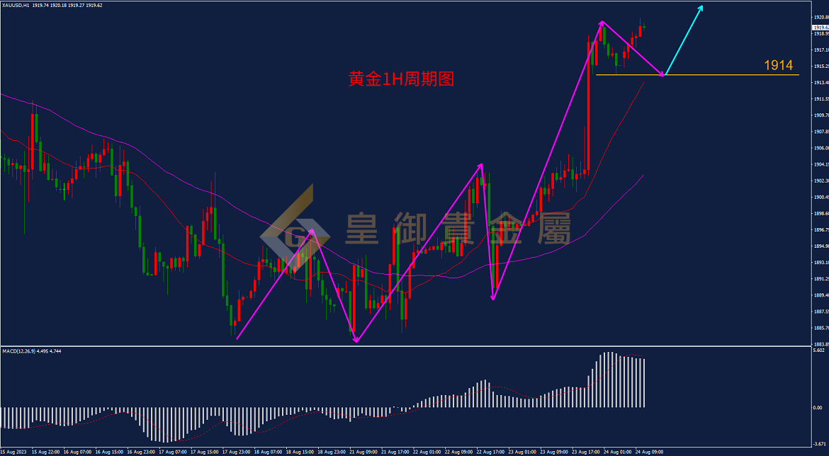 皇御黄金走势图 皇御黄金走势图