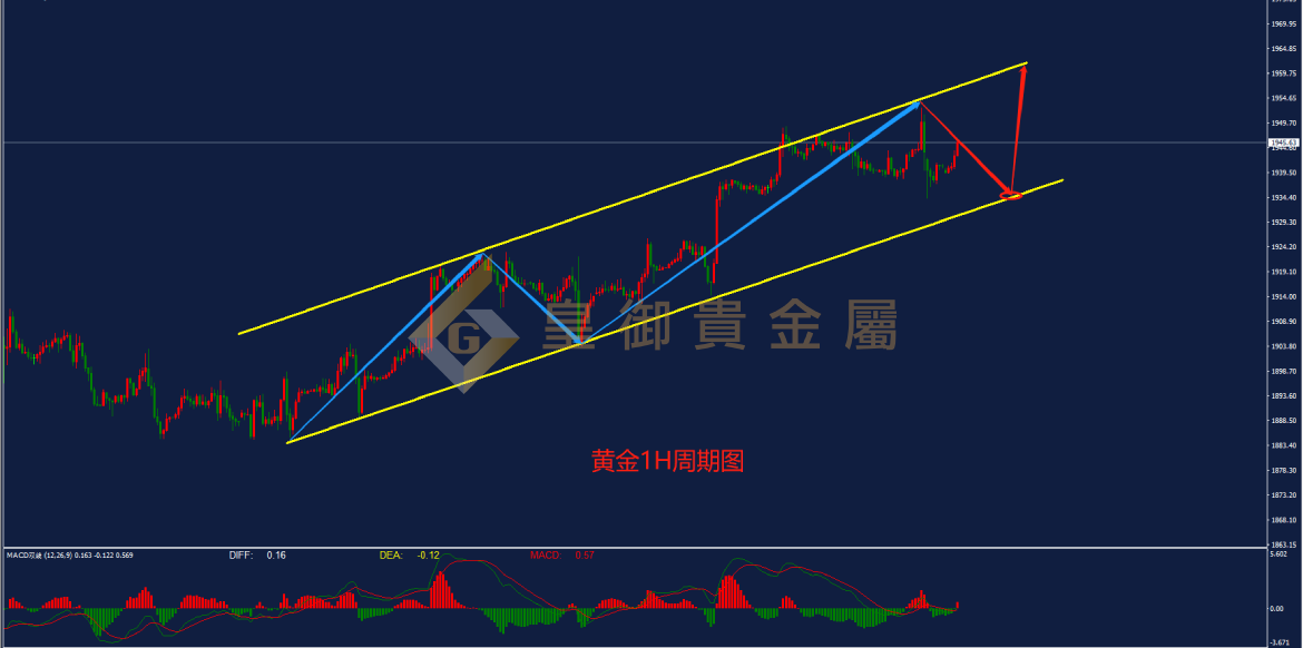 皇御黄金走势图 皇御黄金走势图