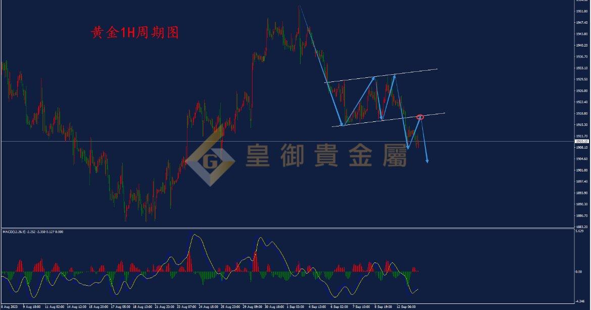皇御黄金走势图