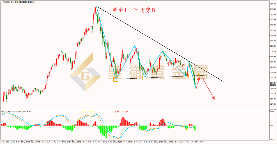 皇御黄金走势图