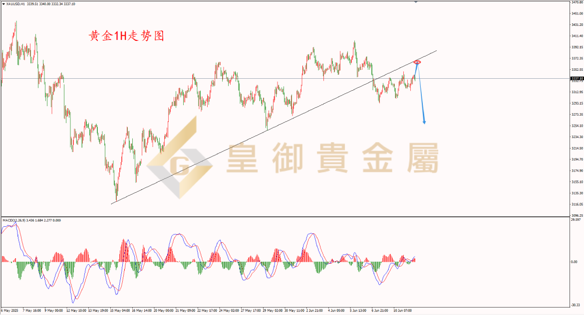 皇御黄金走势图
