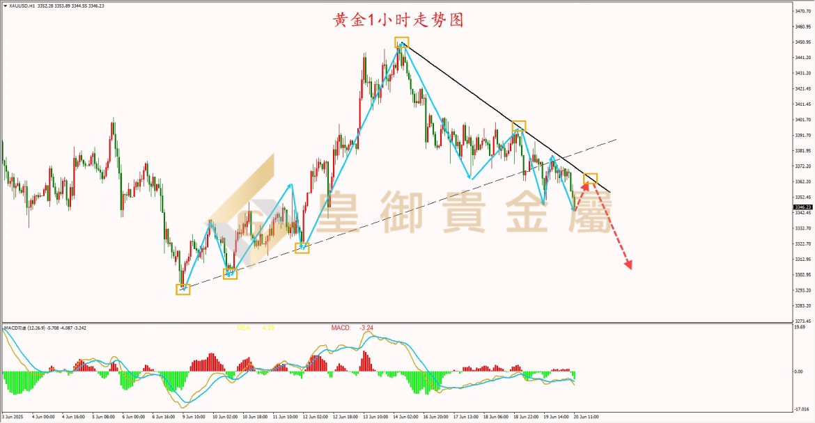 皇御黄金走势图