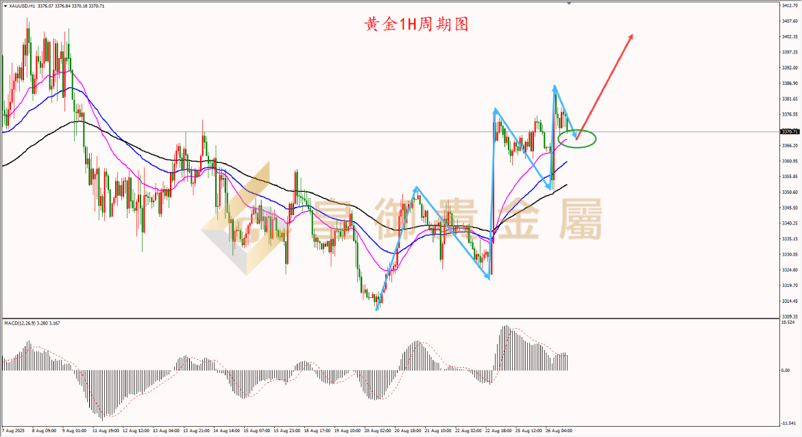 皇御黄金走势图