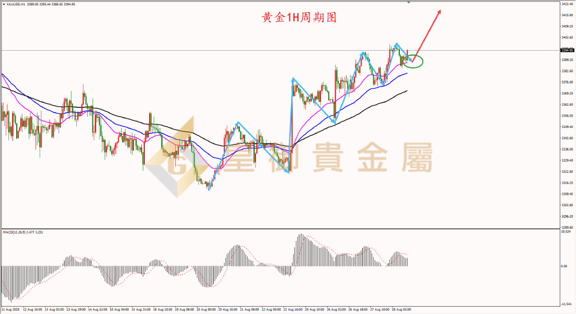 皇御黄金走势图