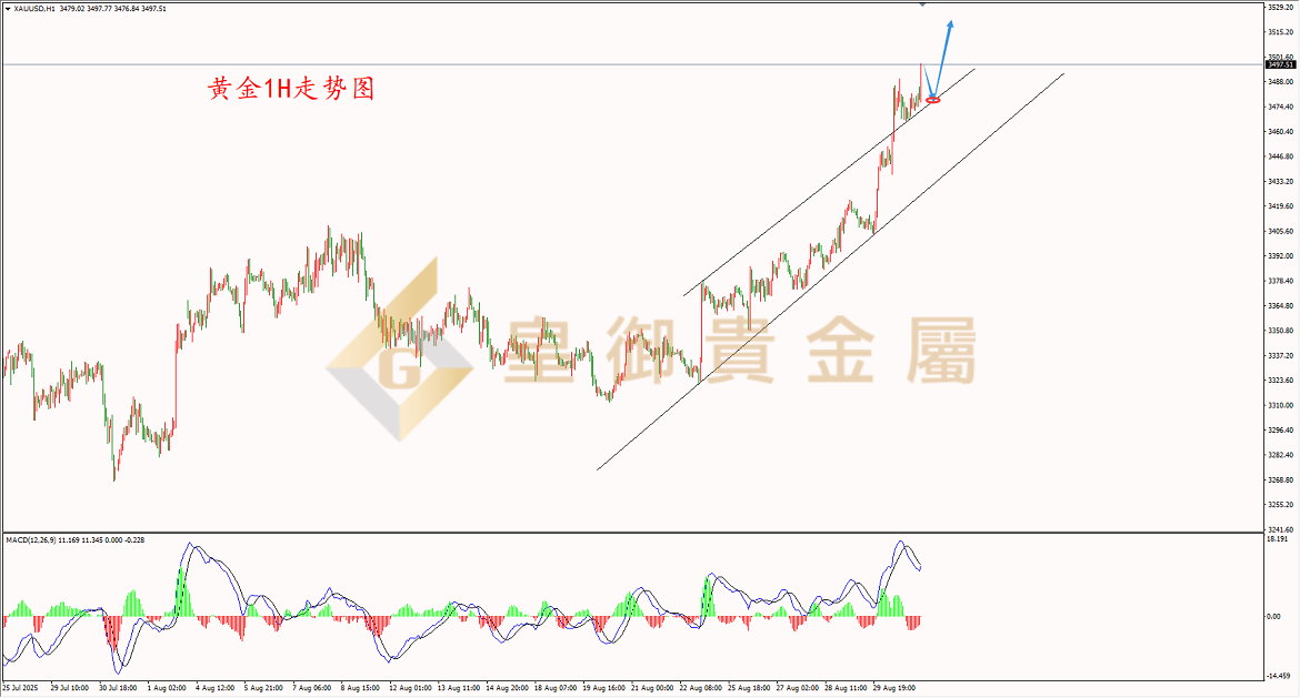 皇御黄金走势图