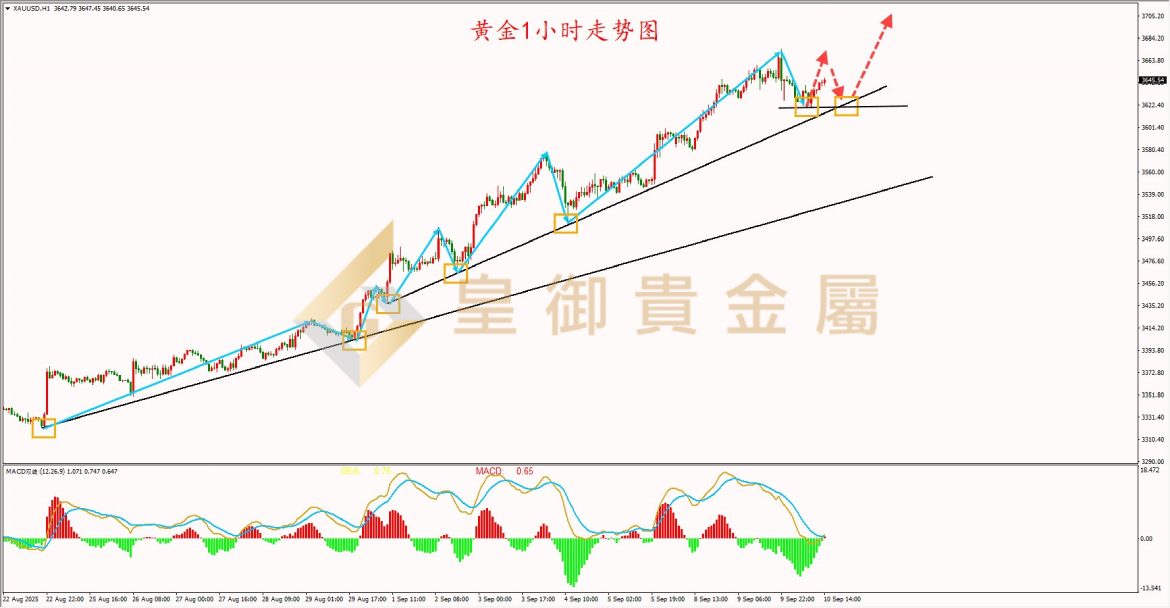 皇御黄金走势图