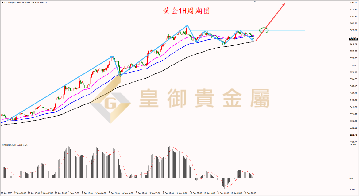 皇御黄金走势图 