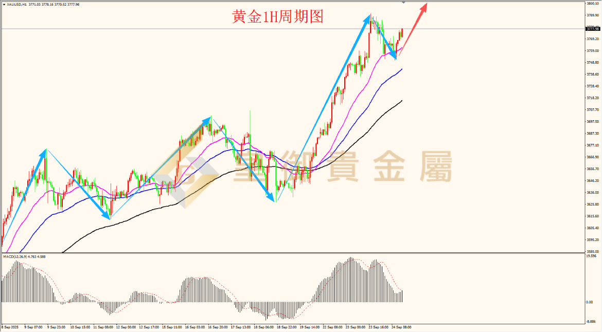 皇御黄金走势图