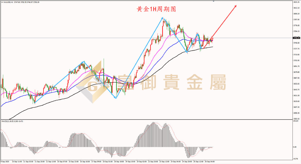 皇御黄金走势图