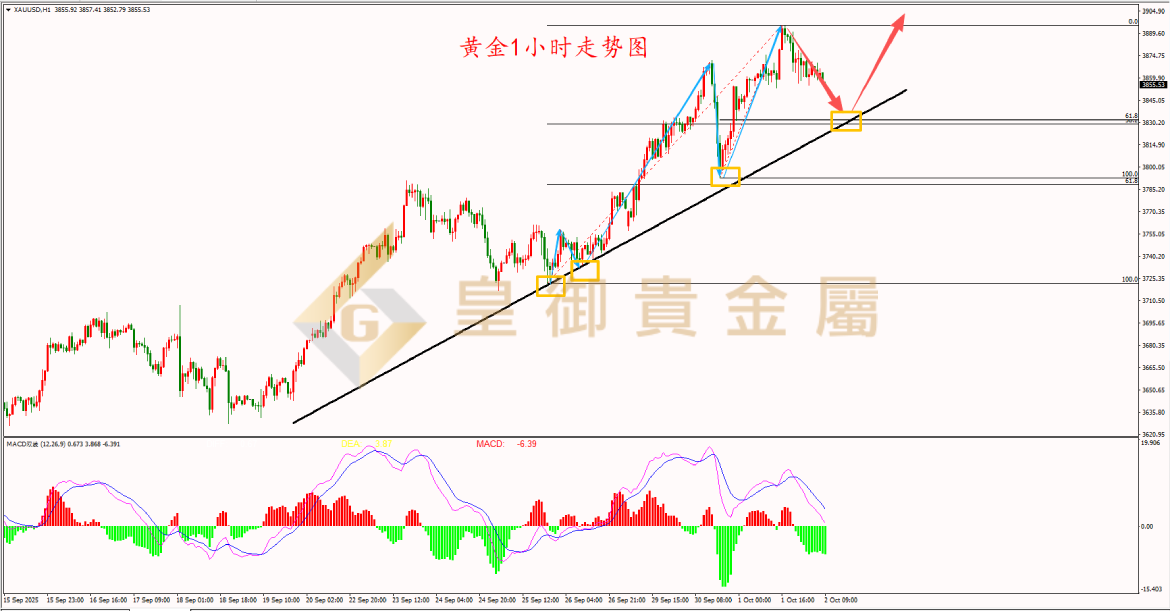 皇御黄金走势图