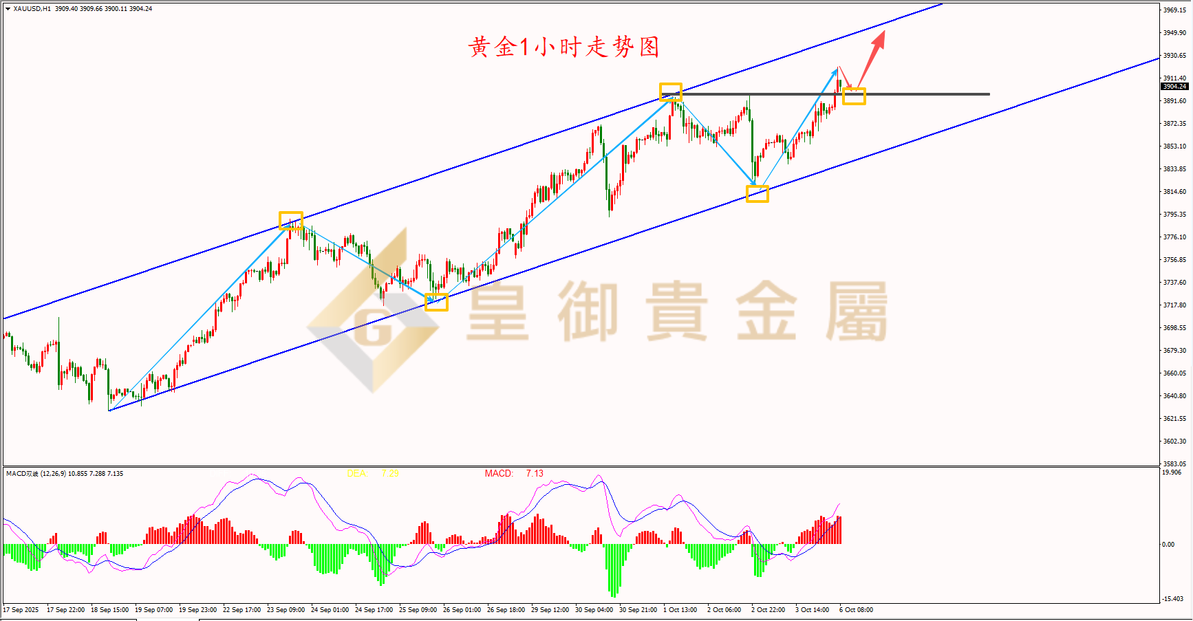皇御黄金走势图