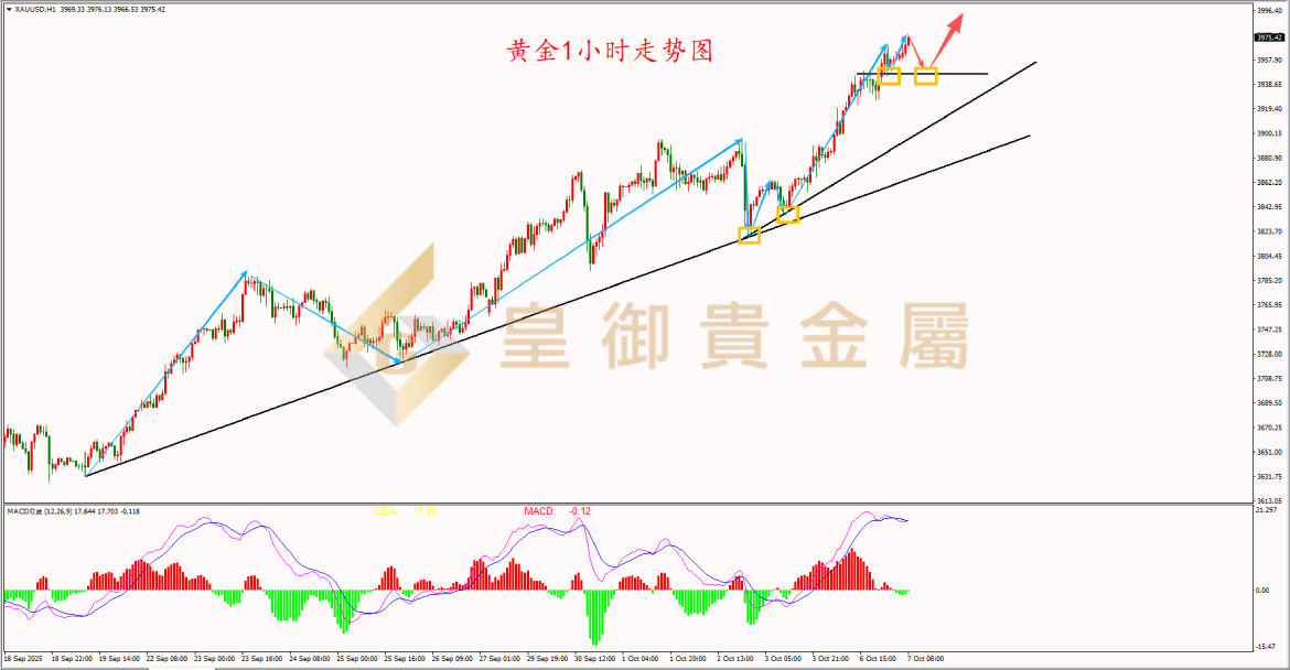皇御黄金走势图