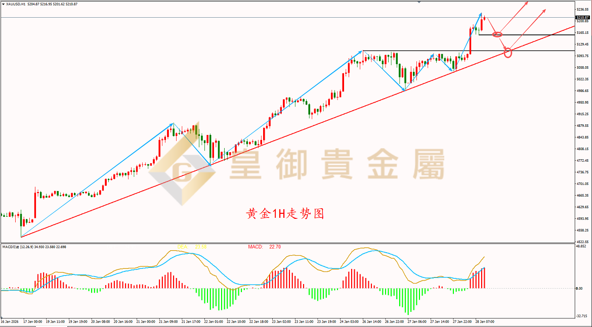 皇御黄金走势图 皇御黄金走势图