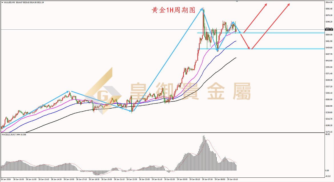 皇御黄金走势图 皇御黄金走势图