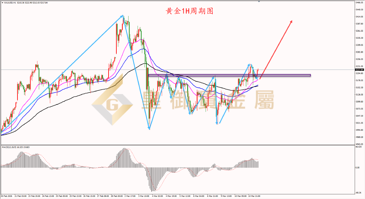 皇御黄金走势图 皇御黄金走势图