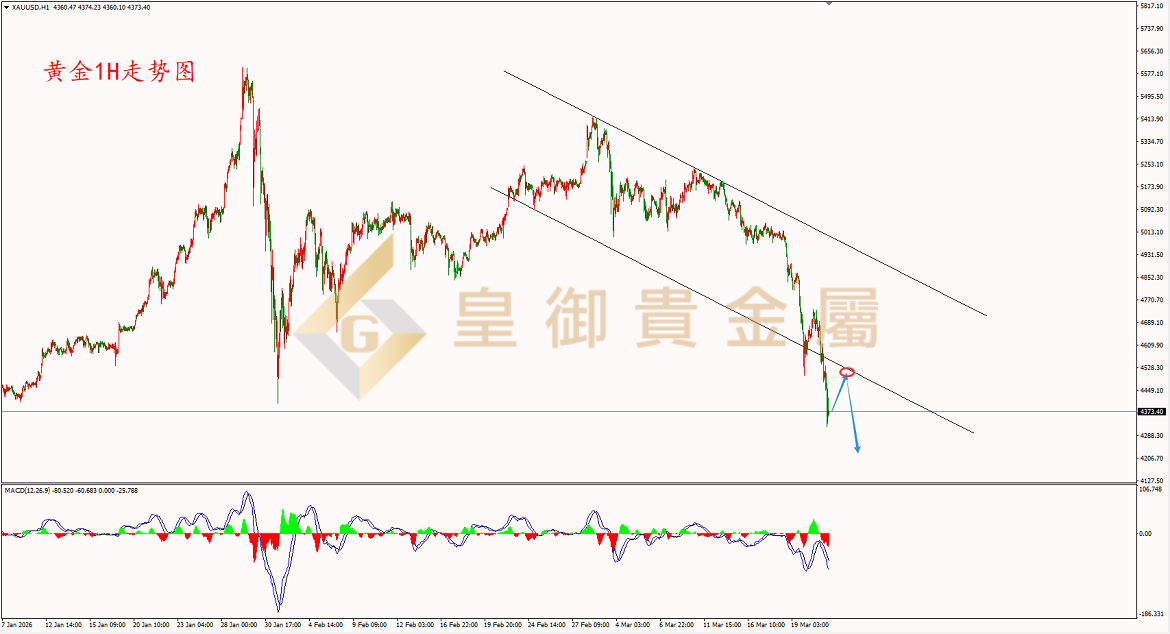 皇御黄金走势图 皇御黄金走势图