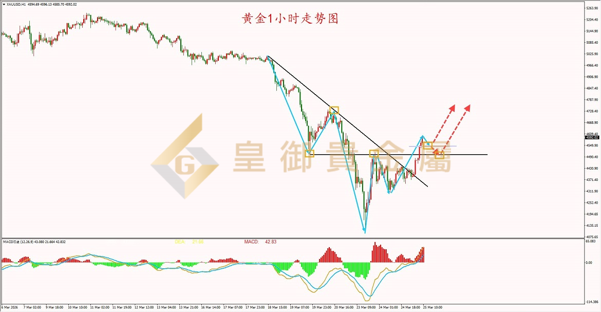 皇御黄金走势图 皇御黄金走势图