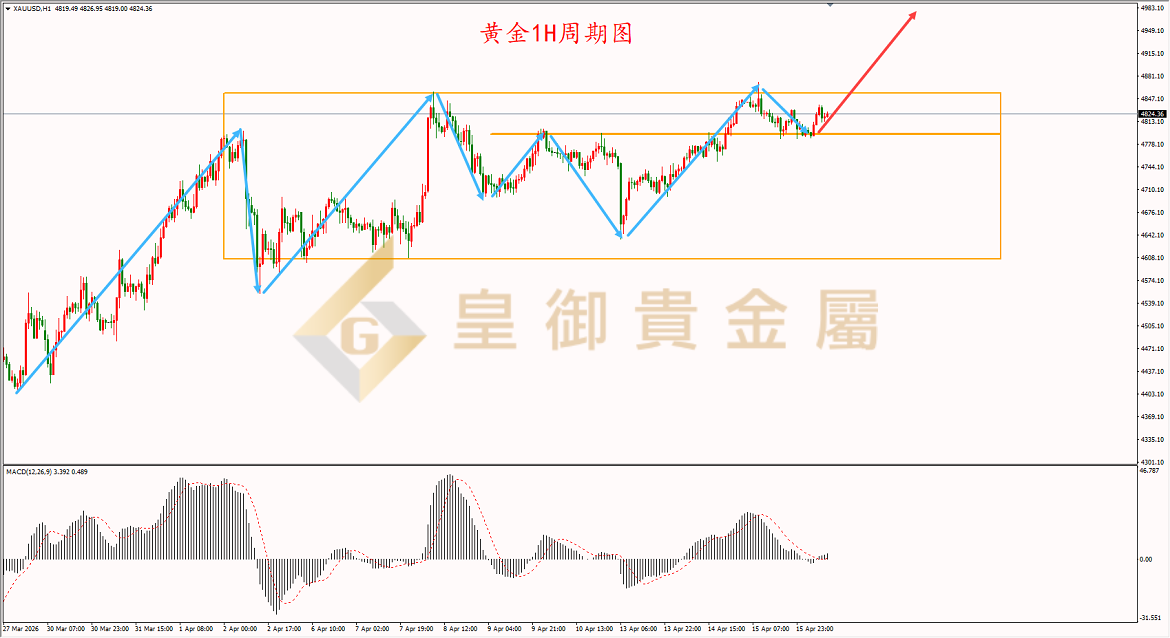 皇御黄金走势图 皇御黄金走势图